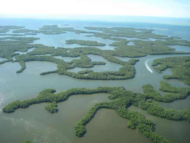 Florida Everglades